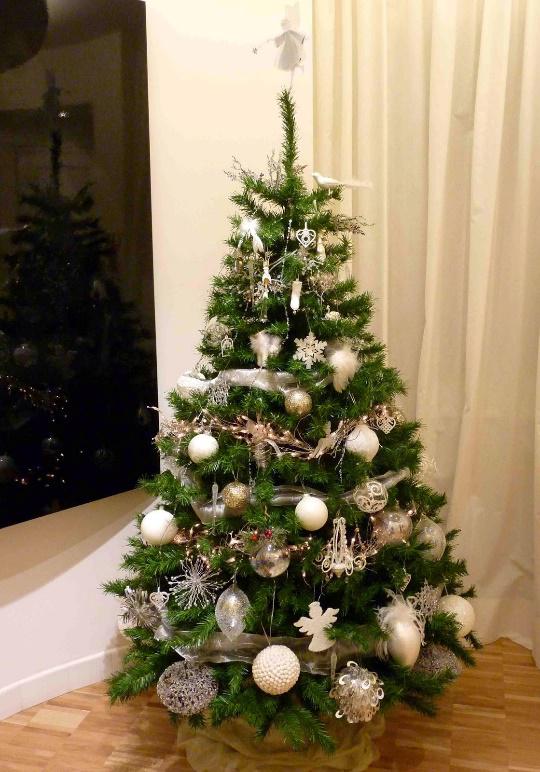 Albero Di Natale Vero Come Farlo Sopravvivere.Albero Di Natale Come Farlo Sopravvivere Alle Feste Torino Oggi