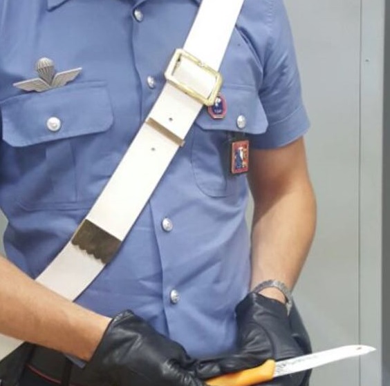 Rocca, 21enne accoltella la madre