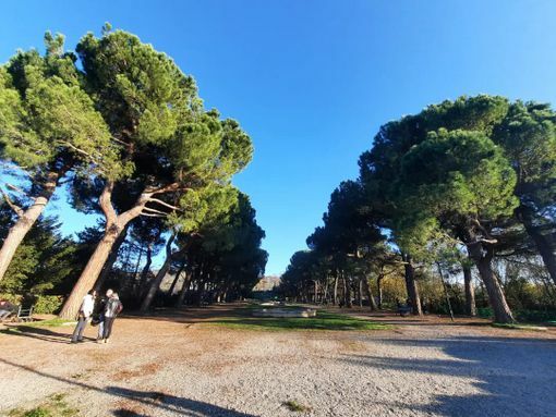 I sogni infranti del parco Europa, la rinascita resta un miraggio I sogni infranti del parco Europa, la rinascita resta un miraggio