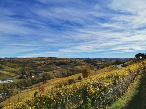 El Niño e il meteo in Piemonte, pensando ad autunno e inverno El Niño e il meteo in Piemonte, pensando ad autunno e inverno