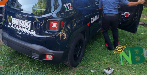 Incidente stradale in provincia di Biella, ferito un 30enne torinese Incidente stradale in provincia di Biella, ferito un 30enne torinese