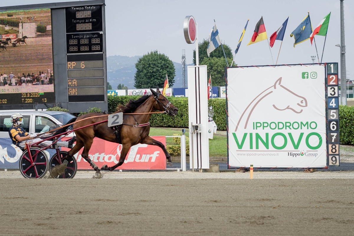 arrivo_ippodromo_vinovo.jpg