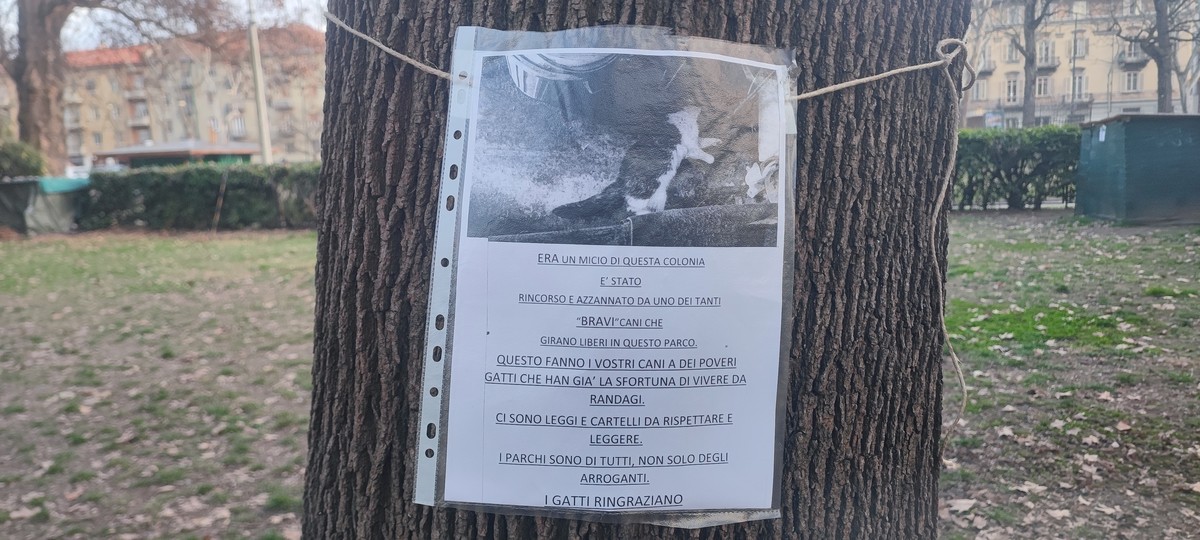 Gatto trovato morto al Michelotti, spuntano cartelli contro i proprietari di cani Gatto trovato morto al Michelotti, spuntano cartelli contro i proprietari di cani