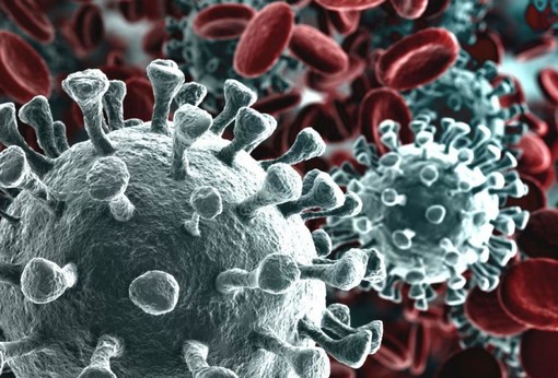 Coronavirus, altri 84 decessi nella giornata di oggi in Piemonte, ma calano ancora i ricoveri