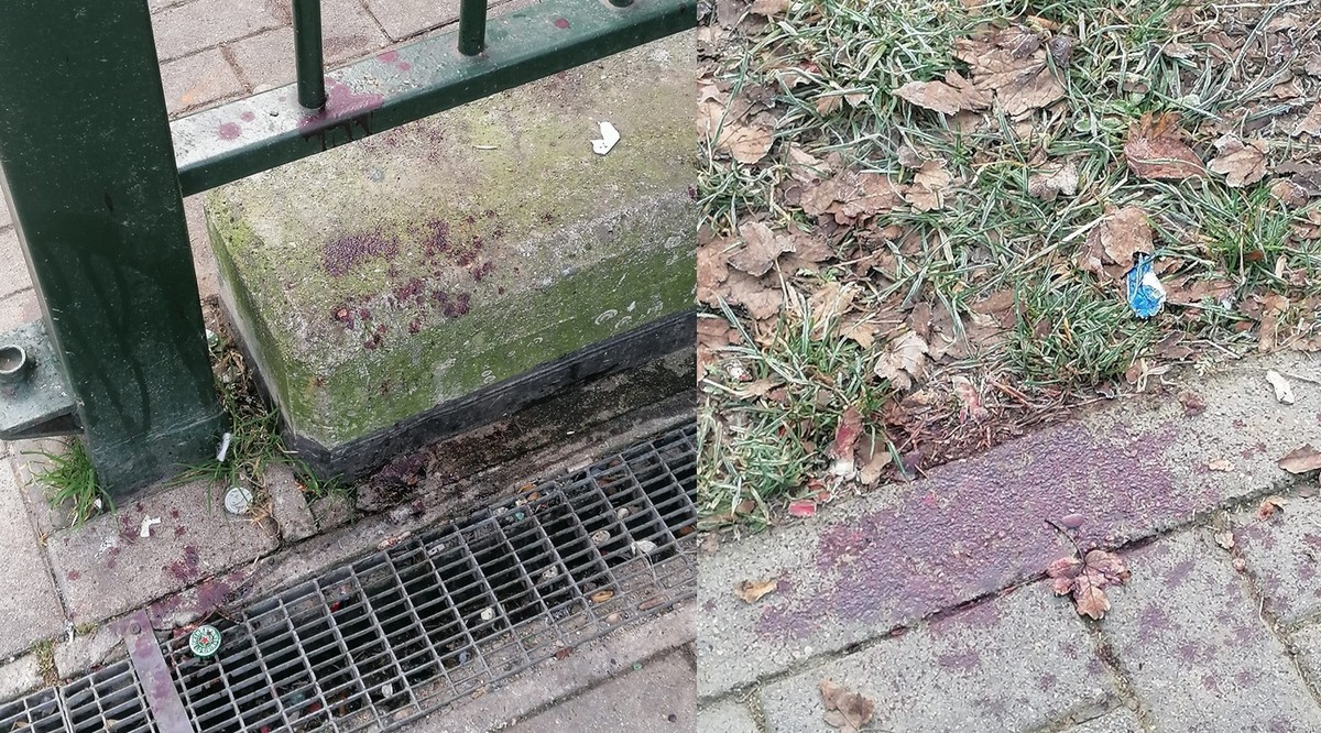 Aurora, falò abusivo e sangue ai Giardini Madre Teresa - Torino Oggi