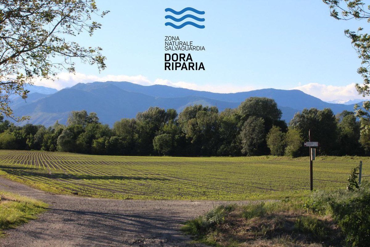 Dora Riparia Map A Collegno approvato il primo bilancio della Zona Naturale Salvaguardia ...