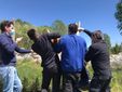 Liberazione capriolo Luserna San Giovanni