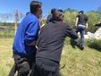Liberazione capriolo Luserna San Giovanni