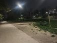 Allarme wurstel avvelenati nell'area cani