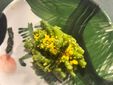 Asparagina