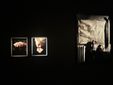 Mostra dedicata a Carol Rama presso la Fondazione Accorsi Ometto