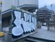 Graffiti sul Bosco degli altri a Palazzo Nuovo