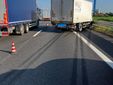 Incidente sulla tangenziale sud di Torino: due veicoli coinvolti, traffico in tilt