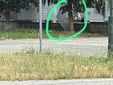 Ancora segnalazioni di abusivi al parcheggio Caio Mario