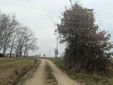 Lavori di manutenzione in vista per il Comune di Chieri