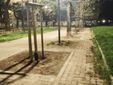 Prende vita il nuovo giardino