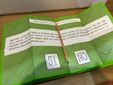 Al voto per il referendum