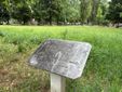 Giardini Ravera, nasce il patto per la rinascita Giardini Ravera, nasce il patto per la rinascita
