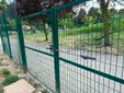 L'appello dei frequentatori del giardino di corso Caio Plinio L'appello dei frequentatori del giardino di corso Caio Plinio