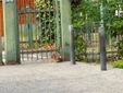 Mini lepri a spasso per il parco