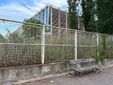Mini lepri a spasso per il parco