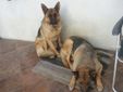 Diana e Frida;