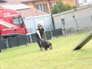 Ricerche sotto le macerie, dall’Aquila a Rigopiano: ora i cani di Volpiano hanno una scuola rinnovata [VIDEO]