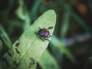 Foto di Richie Bettencourt - tamite Unsplash Foto di Richie Bettencourt - tamite Unsplash