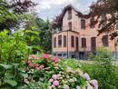 Le ortensie a Villa Prever a Pinerolo
