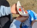 Il simbolo della giornata