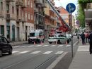 Soccorsi ostacolati da un rottweiler, pomeriggio da panico in via Bianchi