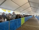Lunghe code al Salone del Libro 2025