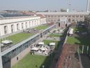 Torino si gode la sua vigna urbana