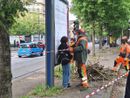 Ancora proteste per il taglio degli alberi in corso Belgio