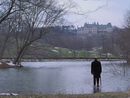Oltre il giardino (Being There, 1979) di Hal Ashby