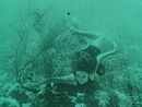 Wonder of sea