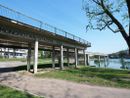 Spaccio al parco di Italia ’61, Russi (M5s): "Servono le telecamere" Spaccio al parco di Italia ’61, Russi (M5s): "Servono le telecamere"