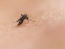 National institute of allergy and infectious diseases- tramite Unsplash National institute of allergy and infectious diseases- tramite Unsplash