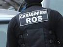 Operazione Ianos, sequestrata sede Edoras di Avanguardia Torino per associazione a delinquere Operazione Ianos, sequestrata sede Edoras di Avanguardia Torino per associazione a delinquere