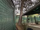 L'albero appoggiato sul centro d'incontro