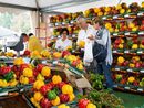 Tutto pronto per la 76ª Fiera del Peperone di Carmagnola: un omaggio al tesoro del Piemonte Tutto pronto per la 76ª Fiera del Peperone di Carmagnola: un omaggio al tesoro del Piemonte