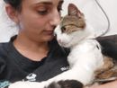 Nala, la gattina tornata a camminare Nala, la gattina tornata a camminare