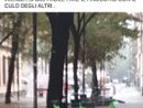 Post polemico nella Circoscrizione 7 Post polemico nella Circoscrizione 7