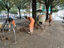 Ripartono i lavori in piazza Villari Ripartono i lavori in piazza Villari