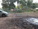 Polemica a Falchera per il taglio degli alberi