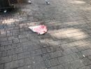 Sangue per terra ai giardinetti Sangue per terra ai giardinetti