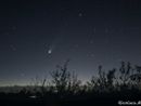 La cometa C/2025 A6 Lemmon (foto di Gianluca Abieri)