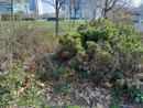 Il giardino Grosa di via Cavalli