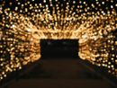Lily Miller- Unsplash Lily Miller- Unsplash