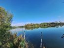 Villaretto, inizia la sfida per recuperare il lago di quartiere